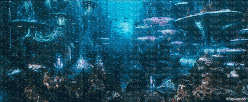 Aquaman - Darmowy animowany GIF