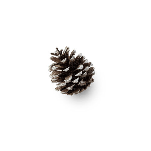 Snow Pine Cone - PNG gratuit