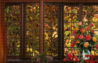 syksy, autumn, ikkuna, window - Gratis animeret GIF