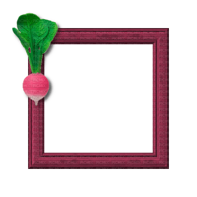 Small Pink Frame - PNG gratuit