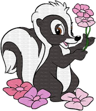 skunk by nataliplus - фрее пнг