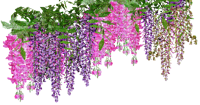 Fleurs.Flowers.gif.Purple.Pink.Victoriabea - 無料のアニメーション GIF