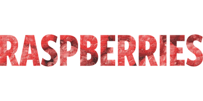 Kaz_Creations Logo Text Raspberries - PNG gratuit