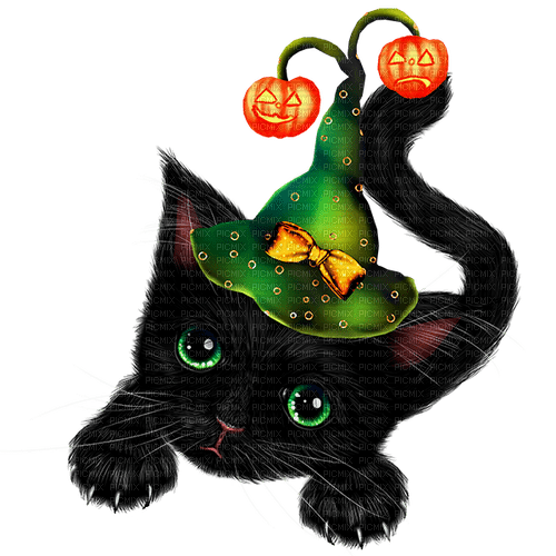 Cat.Witch.Black.Green.Yellow.Orange - png grátis