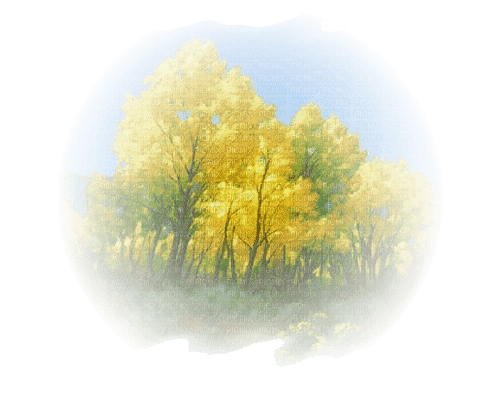 Background Herbst - zdarma png