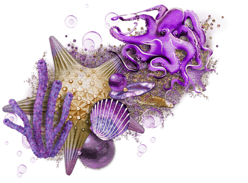 seashells purple Bb2 - δωρεάν png