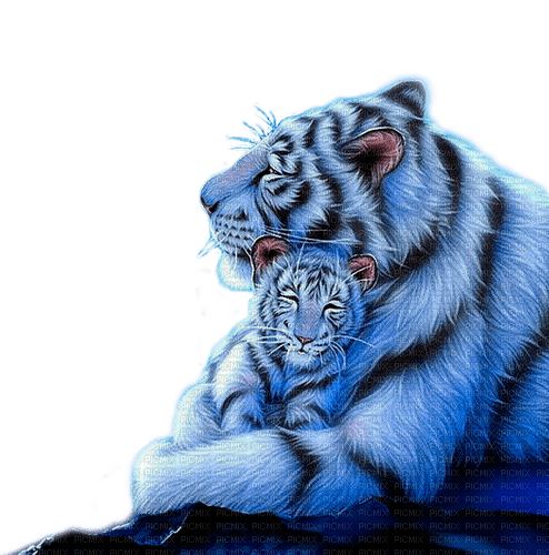 tiger  by nataliplus - бесплатно png