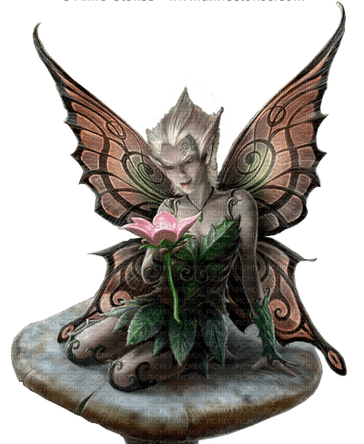 Kaz_Creations Fairy - Free PNG