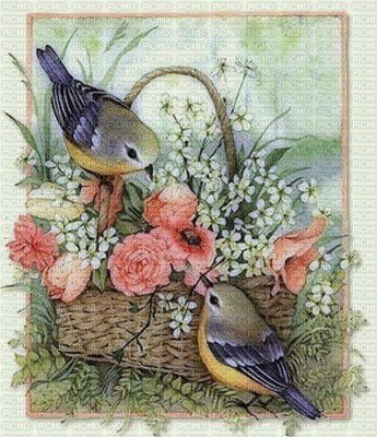Birds and A Basket of Flowers - gratis png