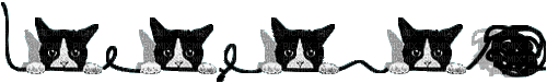 Cats2 - 無料のアニメーション GIF