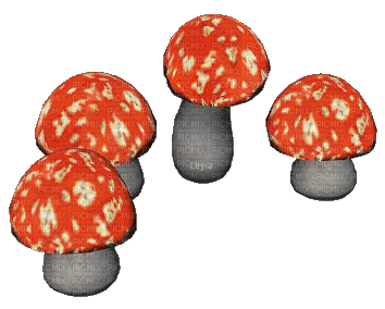 champignons, forêt,gif,deco,tube, Pelageya - Ücretsiz animasyonlu GIF