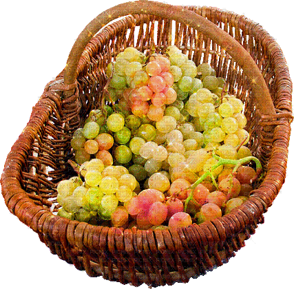 basket grapes by nataliplus - GIF animé gratuit