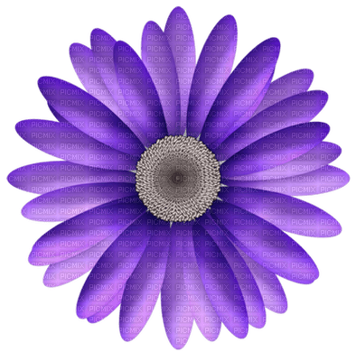 Kaz_Creations Deco Flower  Colours - gratis png