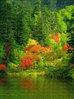 пейзажгуля - Free animated GIF