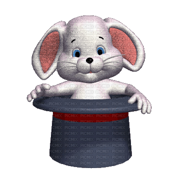 bunny hase hat magic lapin animaux animal tube gif anime animated animation mignon fun - GIF animate gratis