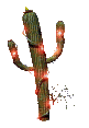 cactus - GIF animado gratis