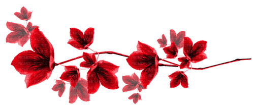 Flowers.Red - nemokama png