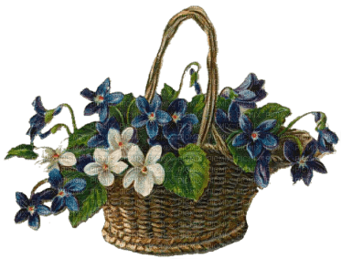 cesta flores  dubravka4 - png gratis