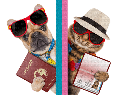 travel pets bp - PNG gratuit