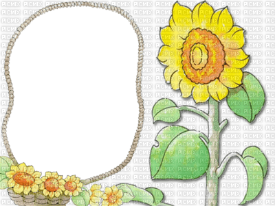 cadre fleur tournesol - ingyenes png