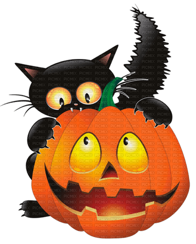 halloween cat with pumpkin by nataliplus - png ฟรี