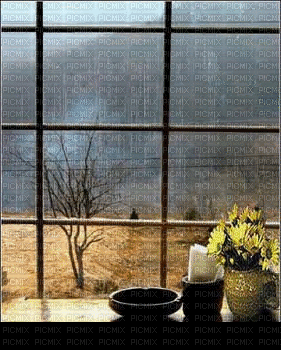 rain-window=NitsaPap - 免费动画 GIF