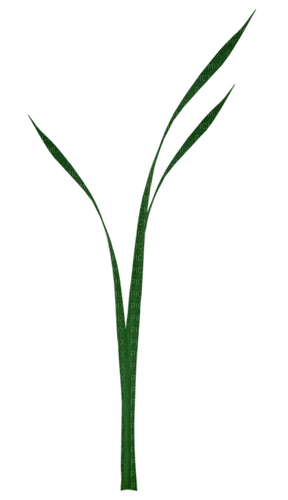 dolceluna green leaf - PNG gratuit