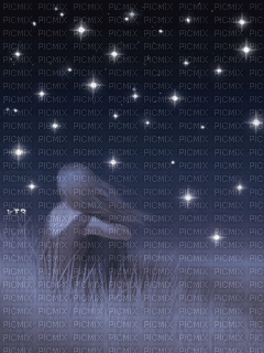 Woman in the Night - Besplatni animirani GIF