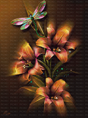 MMarcia gif flores background fleurs - GIF เคลื่อนไหวฟรี