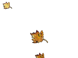 feuilles leaves gif - Безплатен анимиран GIF
