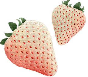Strawberry White Green - Bogusia - 免费PNG