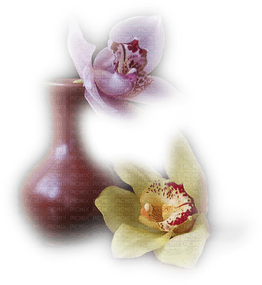 orquidea - δωρεάν png
