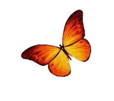 ✶ Butterfly {by Merishy} ✶ - zadarmo png