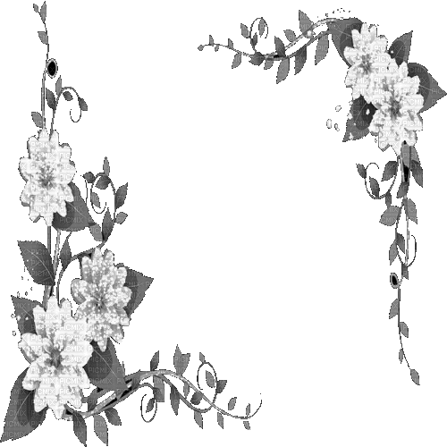 black white milla1959 - Ilmainen animoitu GIF