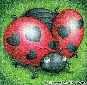 coccinelle - darmowe png