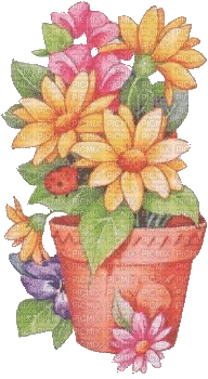 Blumentopf, Blumen - Darmowy animowany GIF