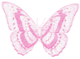 butterfly - nemokama png