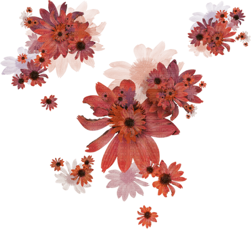 dolceluna orange flowers pink - 無料png