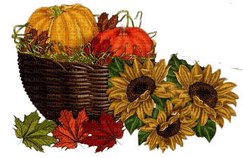 Autumn Fall Basket Pumpkins - Free PNG