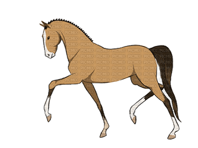 aze cheval marron Brown - Gratis geanimeerde GIF