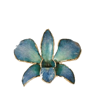 Glass Flower - PNG gratuit