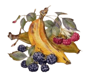 fruit - 免费PNG