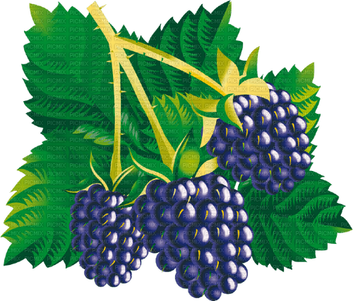 blackberry Bb2 - PNG gratuit