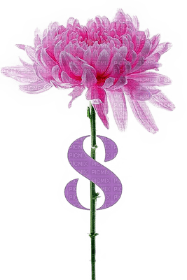 8 .March.Women's Day.Fleur.Flower.Victoriabea - zdarma png
