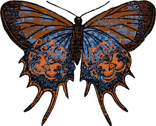 Butterfly artsy creative - gratis png