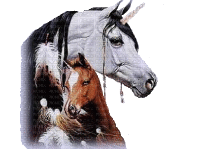 horse with foal bp - Бесплатни анимирани ГИФ