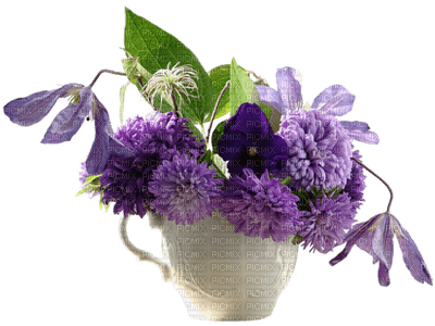 Kaz_Creations Deco Flowers Plant Colours - фрее пнг