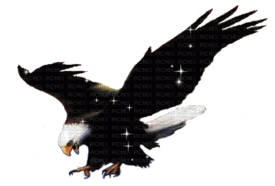 aigle - Безплатен анимиран GIF