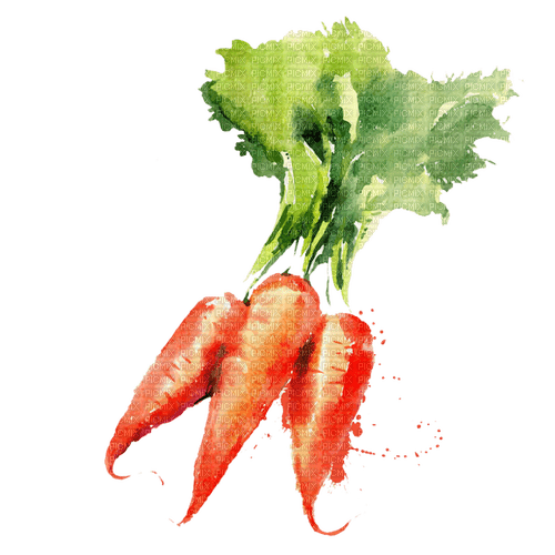carrots Bb2 - Free PNG