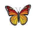 метелик - GIF animé gratuit